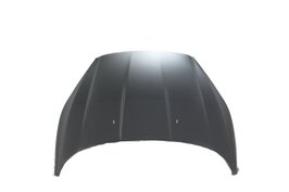 Motorhaube Ford Fiesta MOONDUSTZILVER (MOONDUSTZILVER)